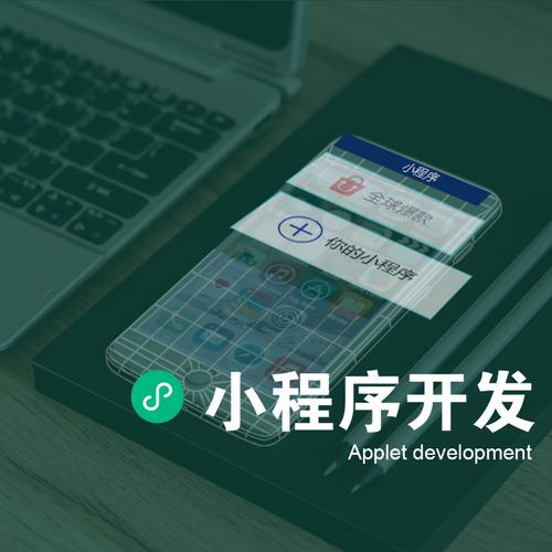 潍坊滨海开发区做小程序