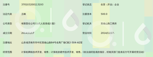 山东峰纳网络科技